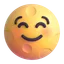 🌝