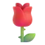 🌹