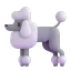 🐩