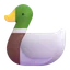 🦆