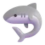 🦈