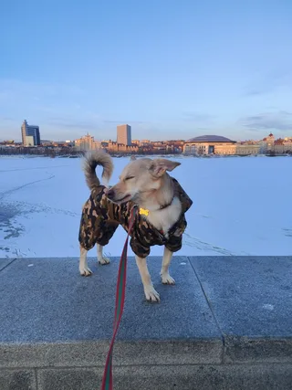 Дуся, фотография