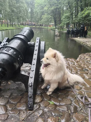 Зевс, фотография