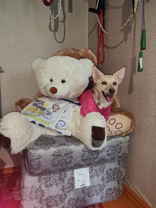 Дуся, фотография