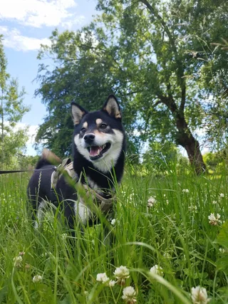 Сайхо, фотография