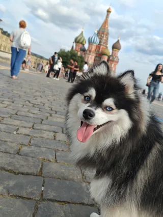 Юник, фотография