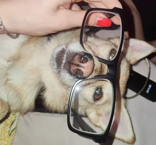 Дуся, фотография