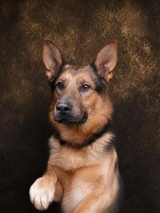 Рио, фотография