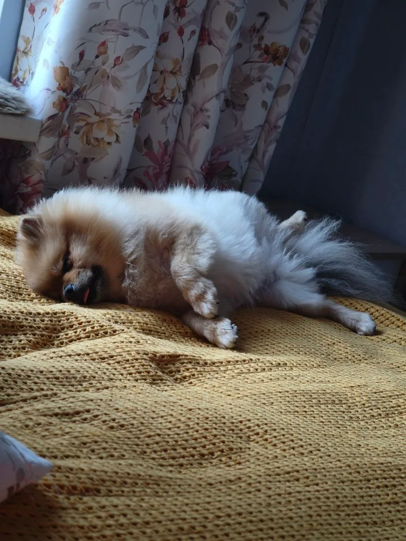 Евгений, фотография