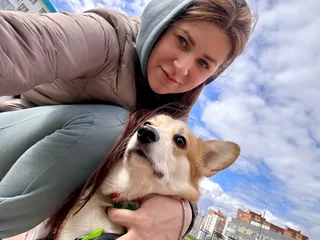 Оливка, фотография