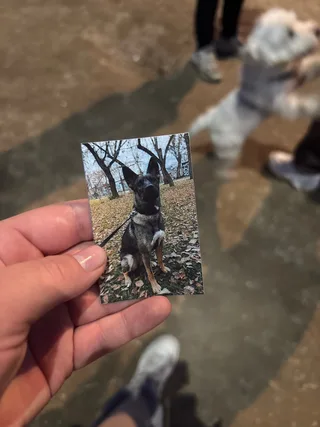 Айна, фотография
