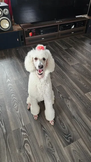 Александра, фотография