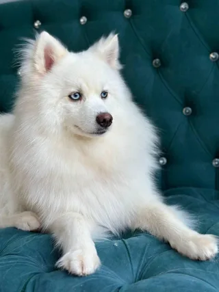 Джун, фотография