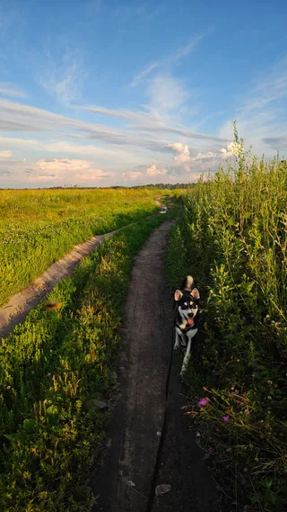 Марс, фотография