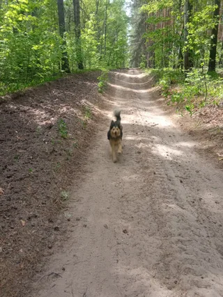 Айка, фотография