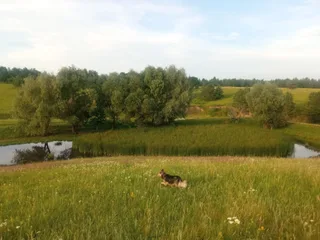 Айка, фотография