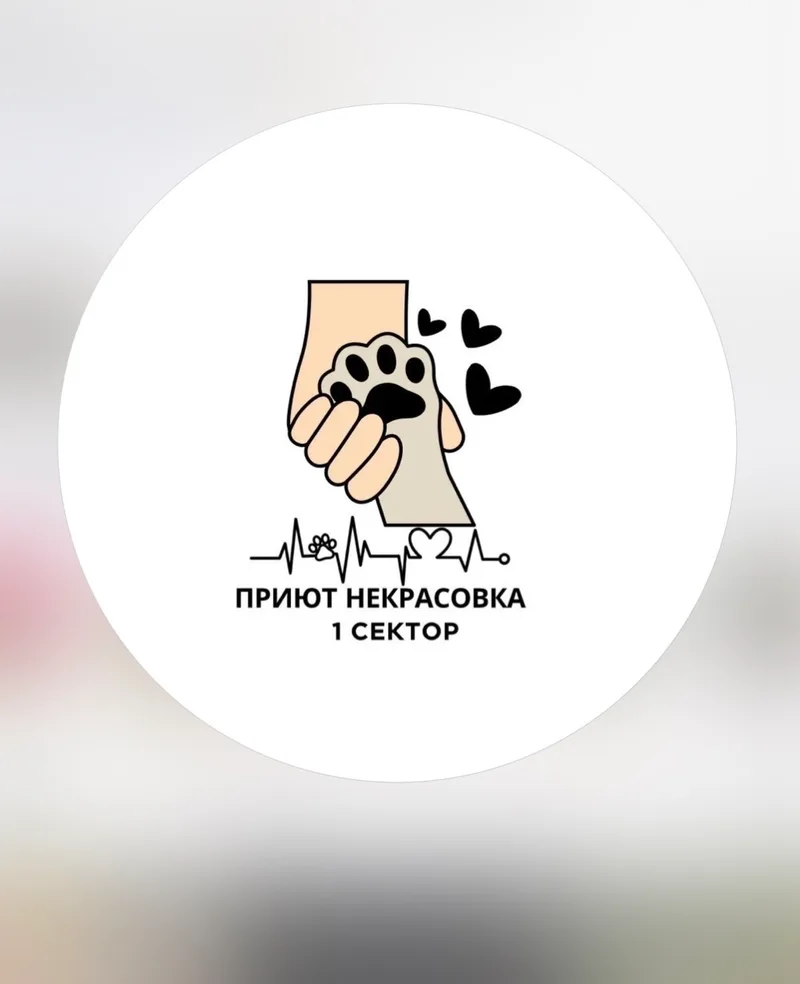 101.hvostik, фотография