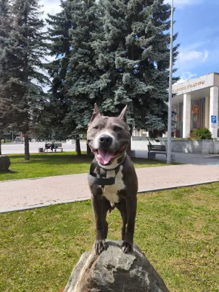 Кристина, фотография