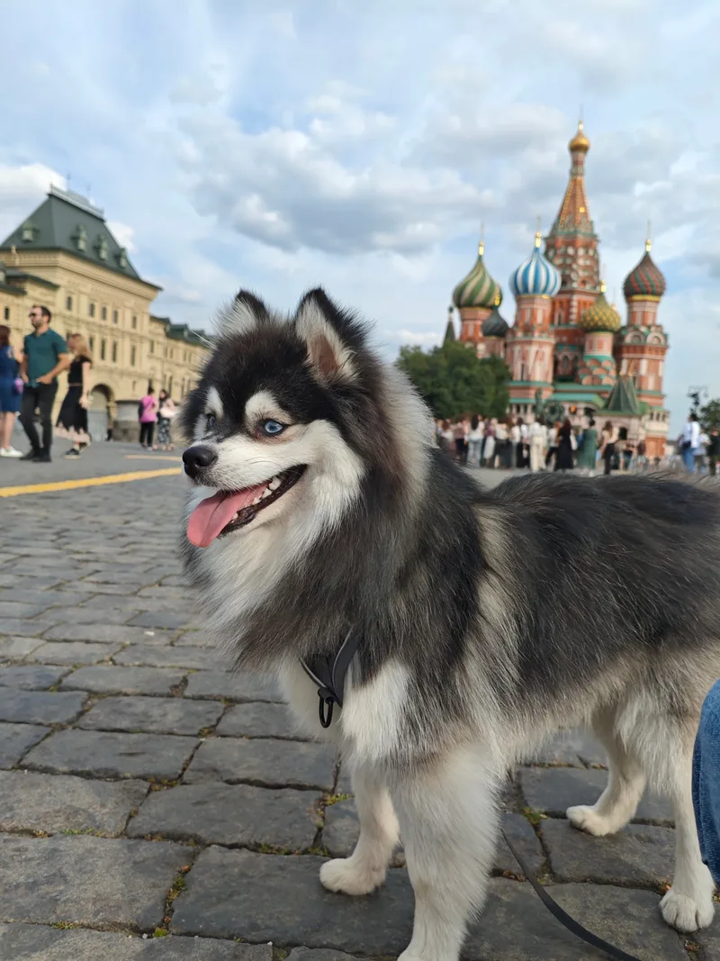 Любовь, фотография