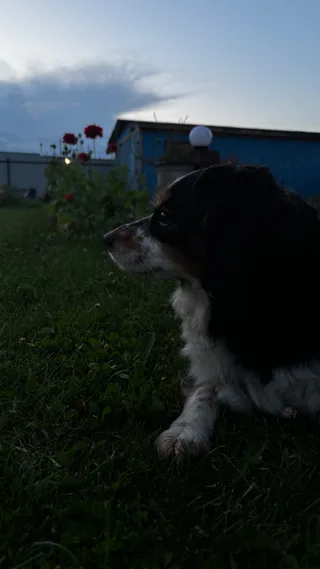 Ёся, фотография