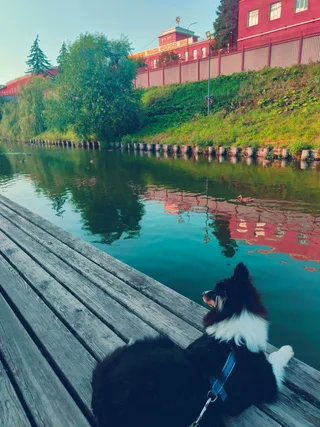 Полина, фотография