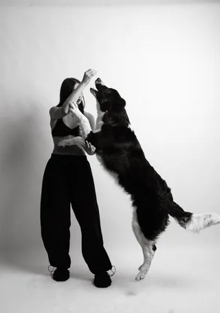 Бади, фотография