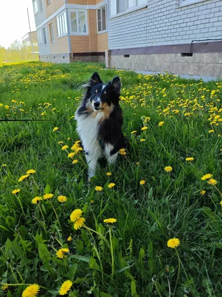 Полина, фотография