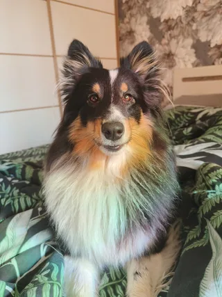Полина, фотография