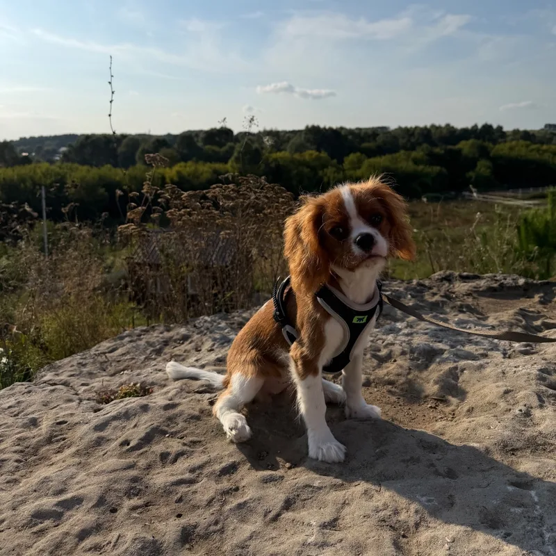 Эвелина, фотография