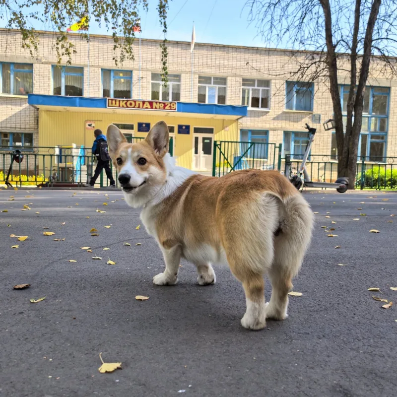 Роман, фотография