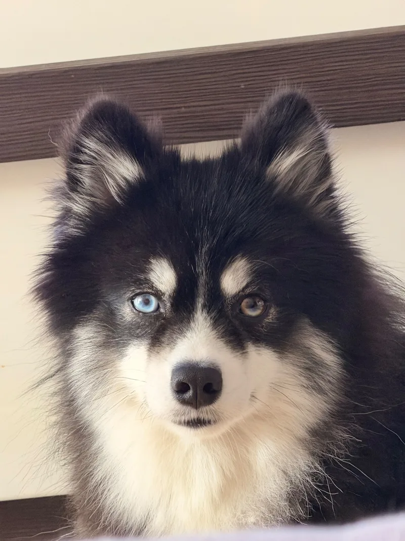 Василий, фотография
