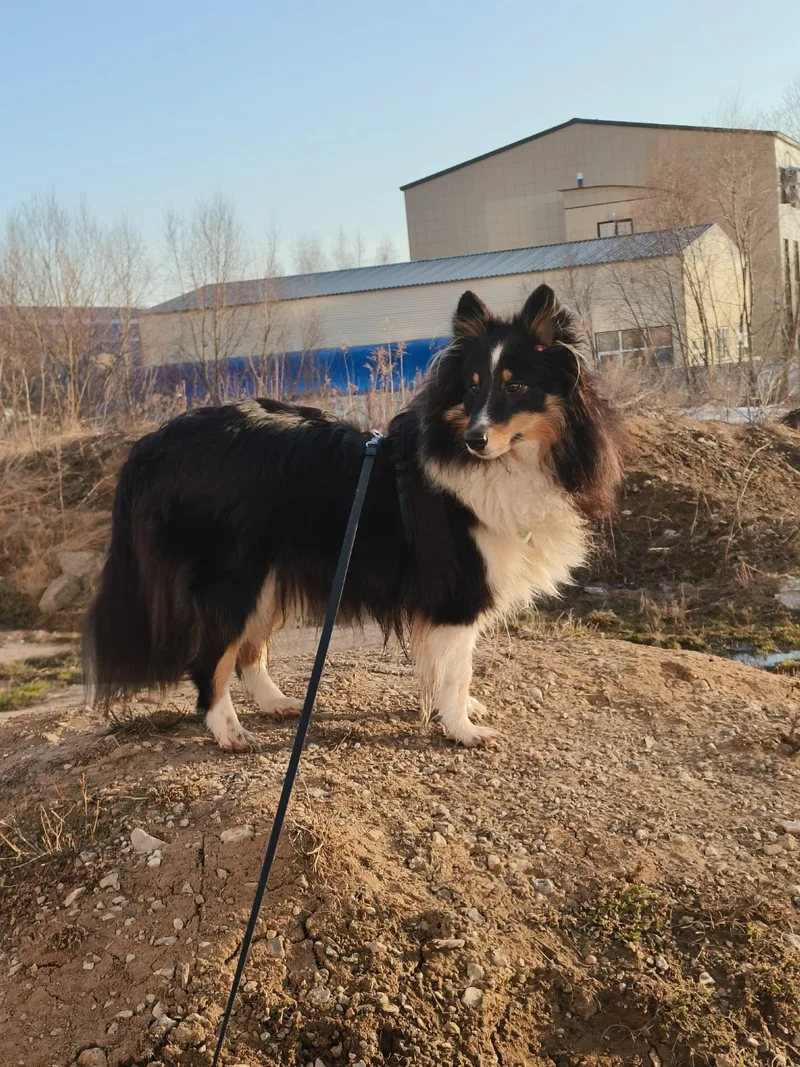Полина, фотография