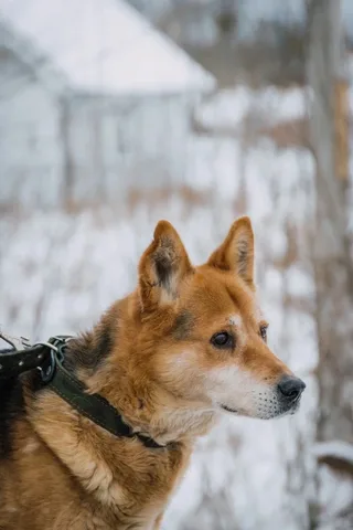 Остин, фотография