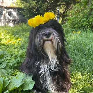 Куба, фотография