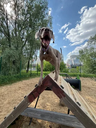 Наталья, фотография