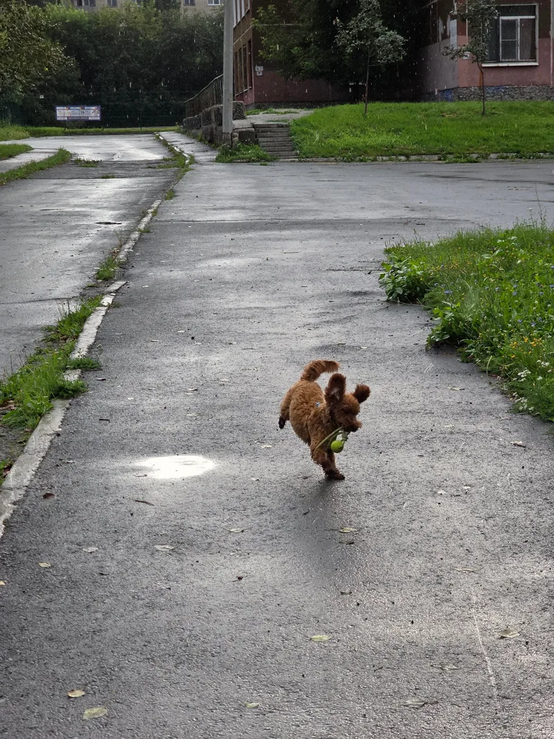 Ирина, фотография