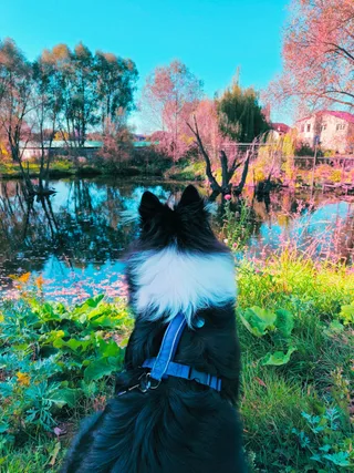 Полина, фотография