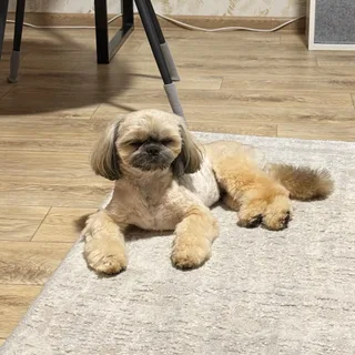 Филипп, фотография
