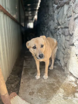Мэй, фотография