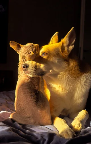 Бьерн, фотография