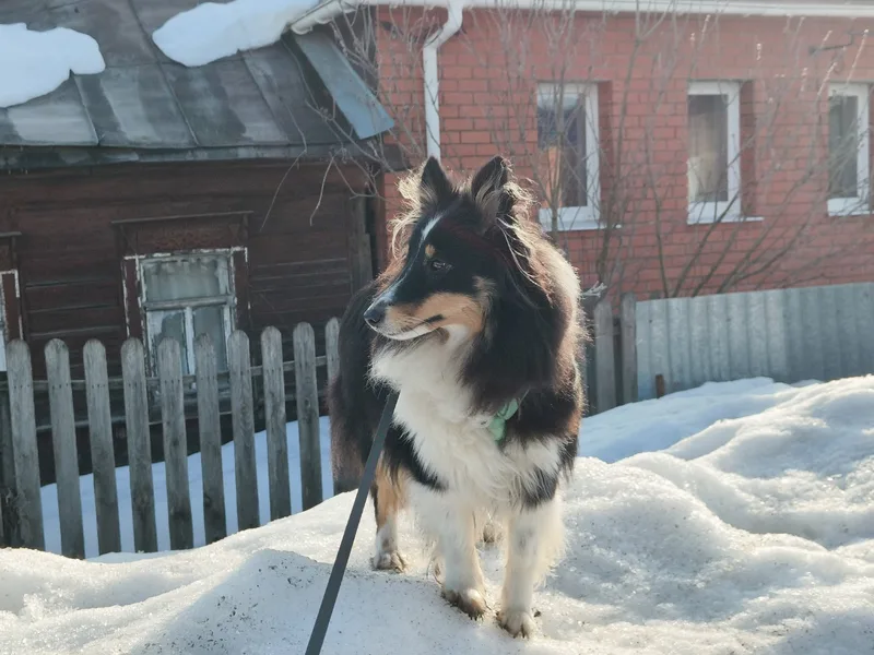 Полина, фотография