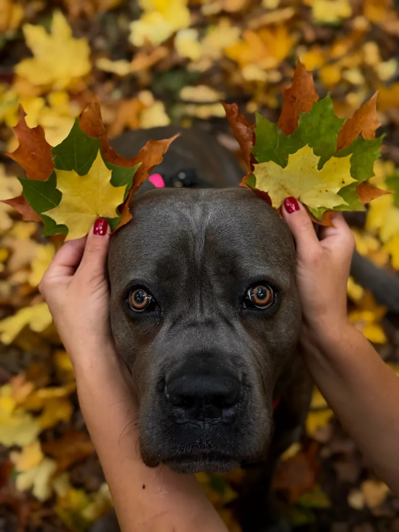 Анна, фотография