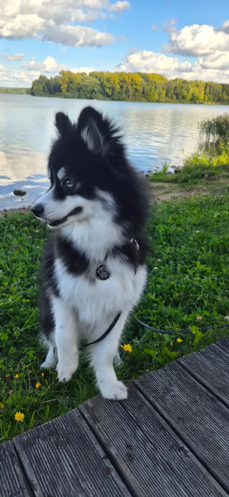 Василий, фотография