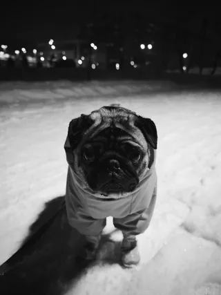 Норочка, фотография