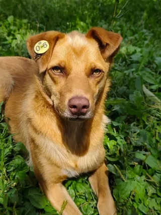 🐾Сэм🐾, фотография