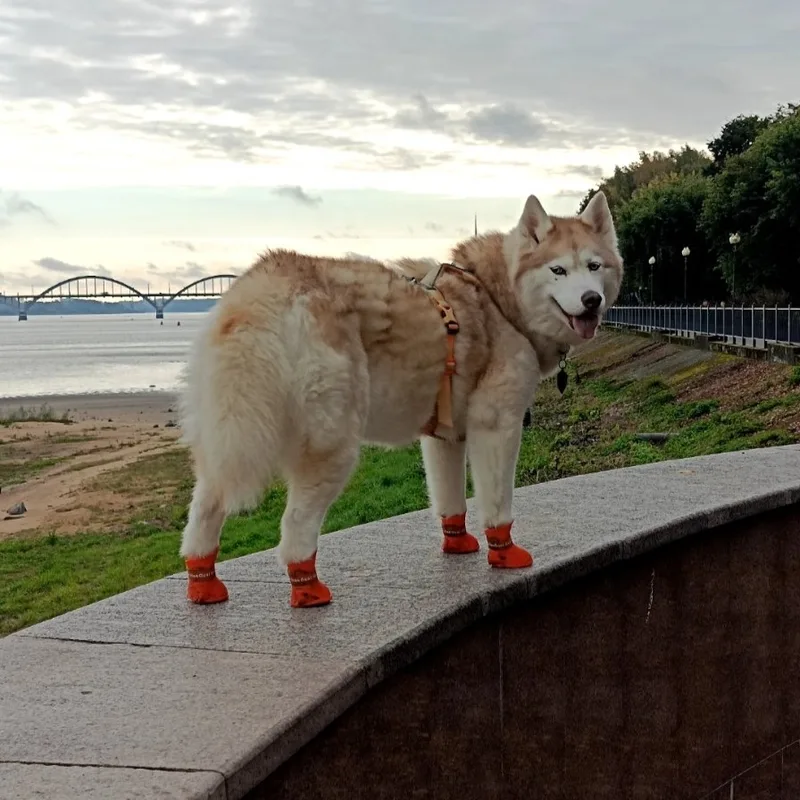 Юлия, фотография