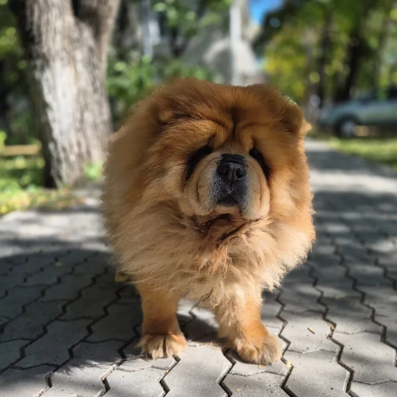Евгения, фотография