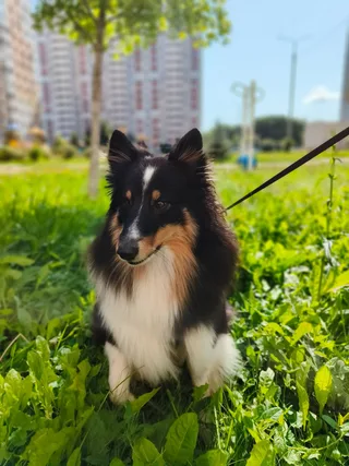 Полина, фотография