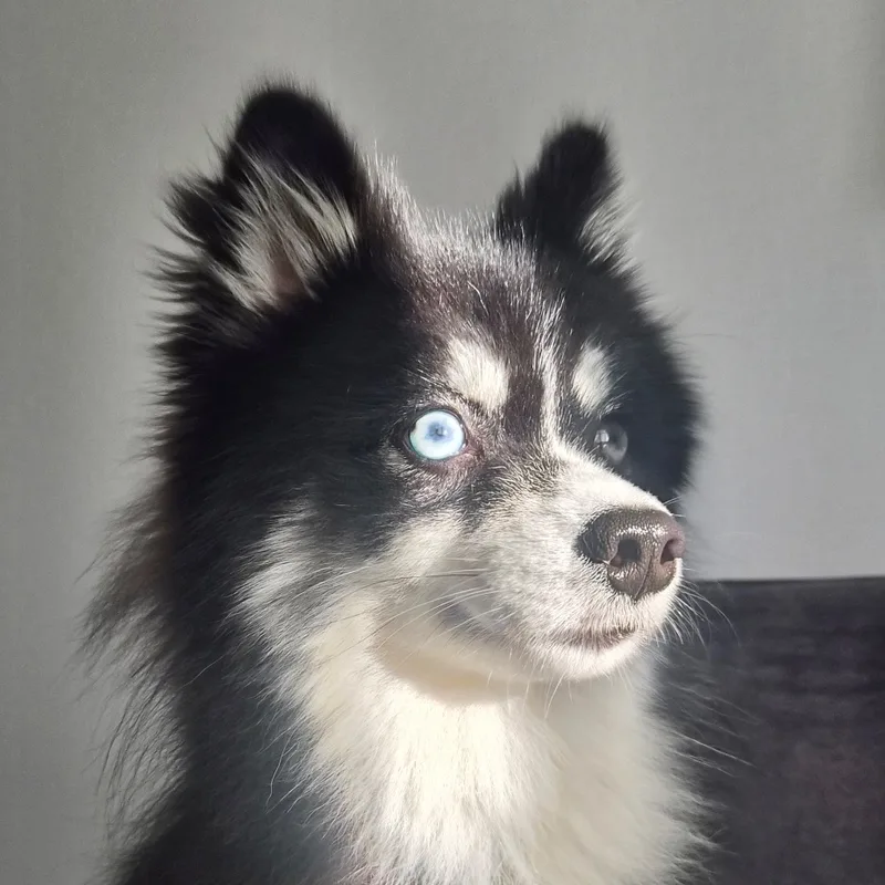 Василий, фотография