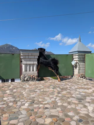 Ярик, фотография